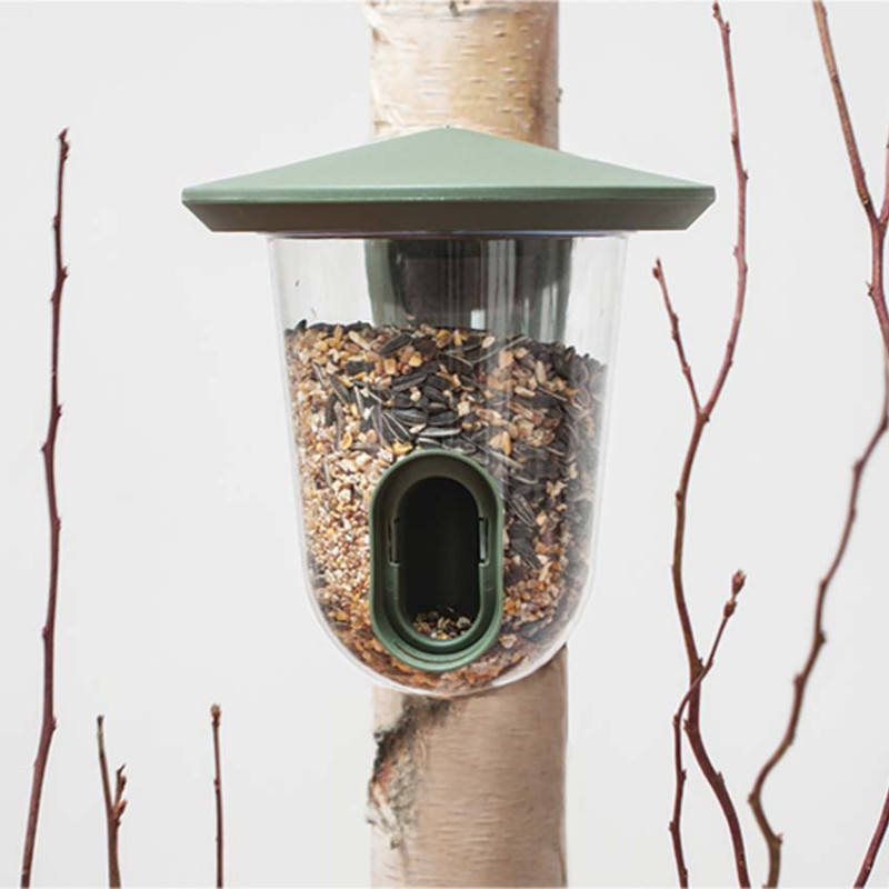 Singing Friend - Feedr Vert - Distributeur de Graines pour Oiseaux des Jardins