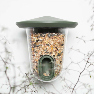 Singing Friend - Feedr Vert - Distributeur de Graines pour Oiseaux des Jardins