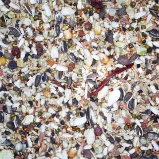 St Laurent Perroquet Premium - Mélange de graines Perroquets / Grandes Perruches - 15 kg