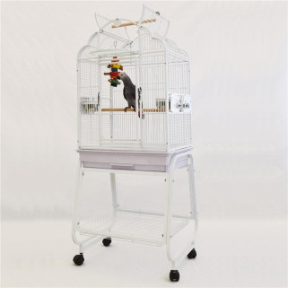 Cage Perruche Ibiza