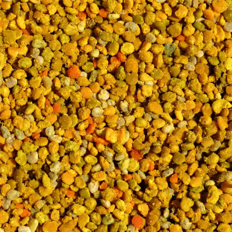 Pollen Sélectionné en Pelotes pour Loris, Loriquets et Nectarivores - 500 gr Pollen Sélectionné en Pelotes pour Loris, Loriquets et Nectarivores - 500 gr