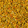 Pollen Sélectionné en Pelotes pour Loris, Loriquets et Nectarivores - 500 gr
