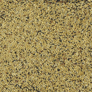 Vadigran - Mélange de Graines Canari Light 123 - 20 kg