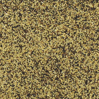 Vadigran - Mélange de Graines pour Canaris Original - 4 kg