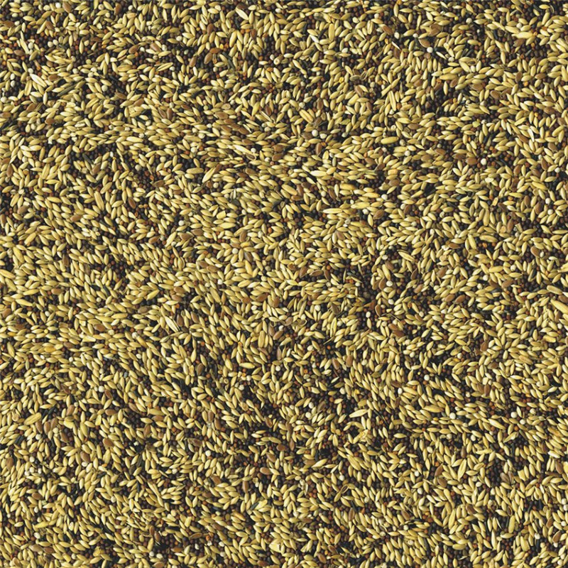 Vadigran - Mélange de Graines pour Canaris Original - 4 kg