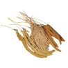 Trio de Millets Français en Grappe - 400 gr