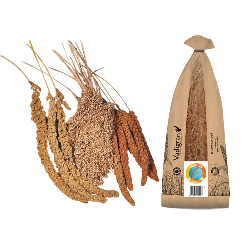 Trio de Millets Français en Grappe - 400 gr