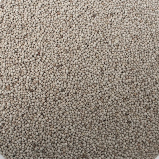 Graines de Perilla Blanc - 600 gr