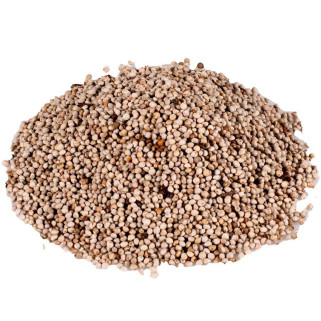 Graines de Perilla Blanc - 600 gr