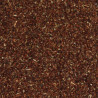 Semences d'Onagre - Détail 100 gr