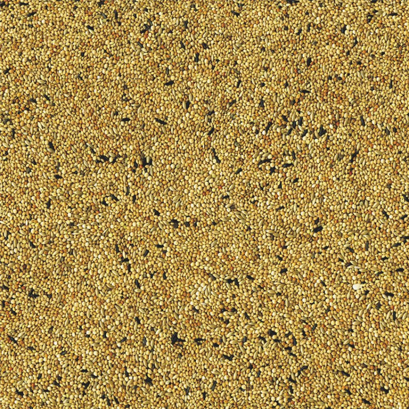 Vadigran - Mélange de Graines pour oiseaux Exotiques Original - 1 kg
