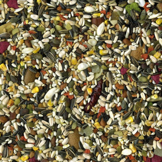 Vadigran - Mélange de Graines Perroquet Tropical - 650 gr