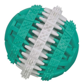 Jouet Dentaire pour Chien - Balle Dental fun Goût Menthe - 15 cm