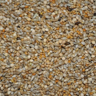 Mélange de Graines Prestige Diamants Australiens - Détail 1 kg