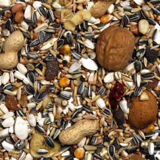 Versele Laga - Mélange de Graines Perroquet Exotic Nut Mix - 750 gr