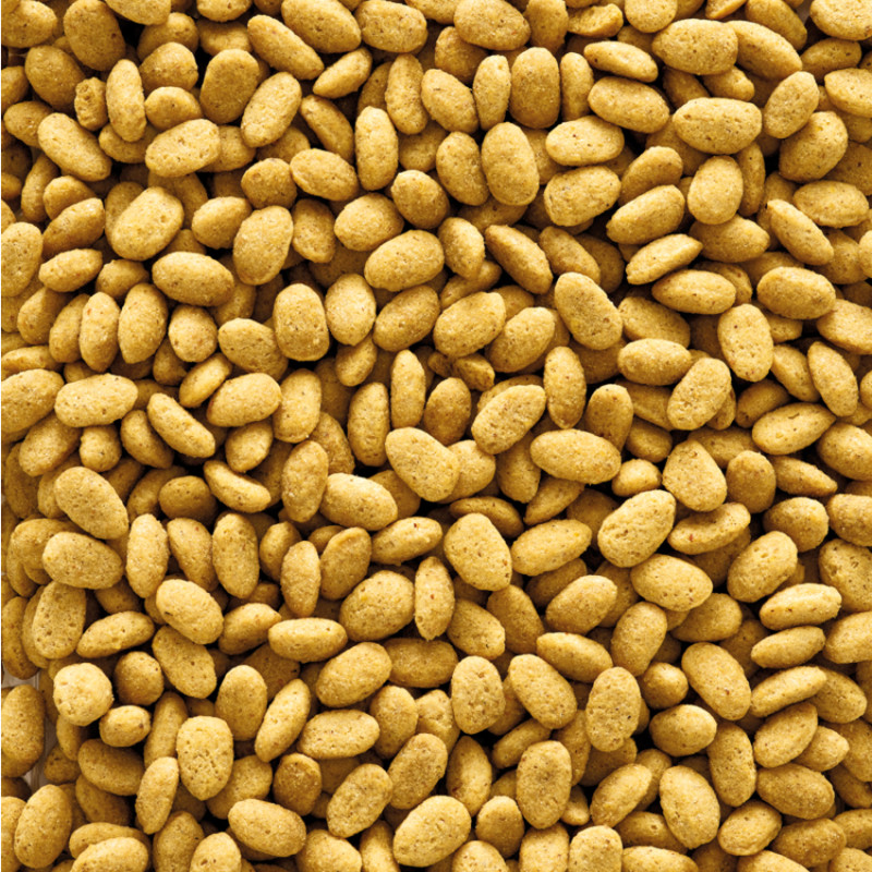 Nutribird Extrudés P19  Original Élevage Perroquets - 10 kg