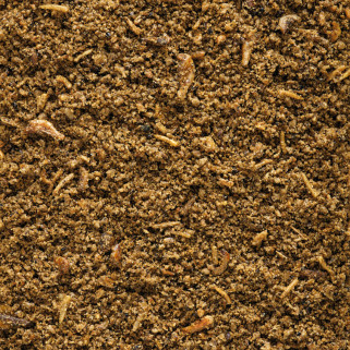 Nutribird Insect Pâtée 250 gr - Pâtée Grasse pour Insectivores