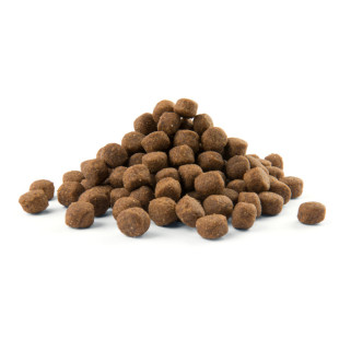 Opti Life - Puppy Maxi - 12,5 kg - Croquettes pour Chiots de Grandes Races - Goût Poulet