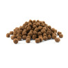 Opti Life - Puppy Medium - 12,5 kg - Croquettes pour Chiots de Races Moyennes - Goût Poulet