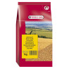 Graines de Millet Jaune - 1 kg