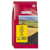 Graines de Niger - 1 kg
