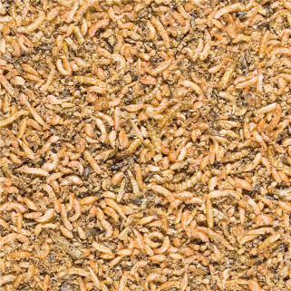 Menu Nature - Mélange d'Insectes pour Oiseaux - 250 gr