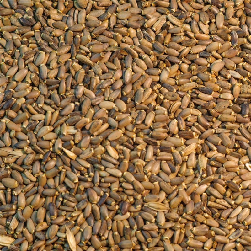Versele Laga - Graines de Chardon Marie - Détail 1kg Versele Laga - Graines de Chardon Marie - Détail 1kg