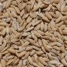 Graines de Riz Paddy (Riz Complet) - Vrac 1 kg
