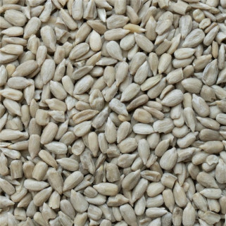 Graines de Tournesol Décortiqué - Détail 1 kg
