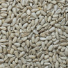 Graines de Tournesol Décortiqué - Détail 1 kg