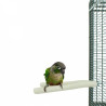Perchoir Double Small pour Limer les Griffes des Grandes Perruches