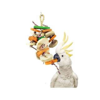 Wild Woody - Medium - Jouet Perroquet