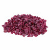 Zoofaria - Cranberries Séchées - Friandises pour Oiseaux - 50 gr