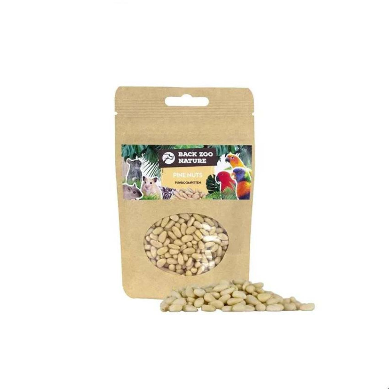 ZooFaria - Pignons de Pin - Friandise pour Oiseaux - 50 gr ZooFaria - Pignons de Pin - Friandise pour Oiseaux - 50 gr