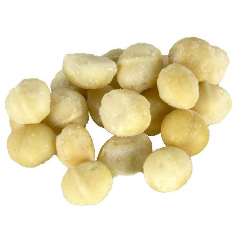 ZooFaria - Noix de Macadamia - Friandise pour Perroquet - 50 gr