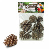 Pommes de Pin Naturelles - lot de 6