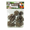 Pommes de Pin Naturelles - lot de 6