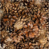 Petites Pommes de Pin Naturelles - 300gr