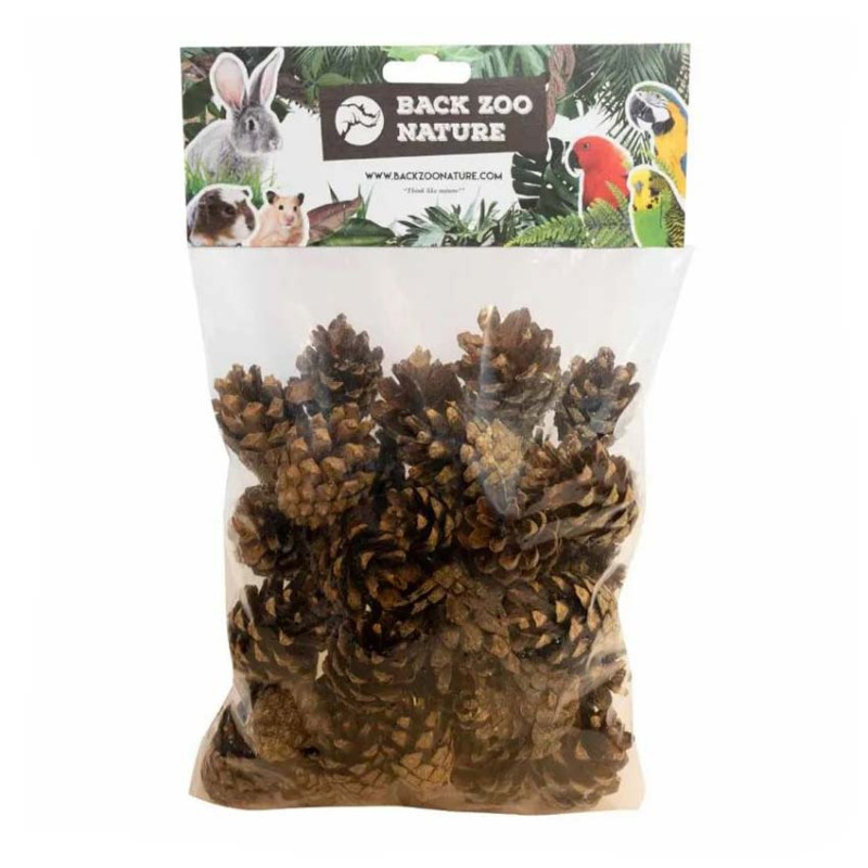 Petites Pommes de Pin Naturelles - 300gr