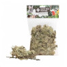 Mousse de Lichen Naturel Séché - 50 gr