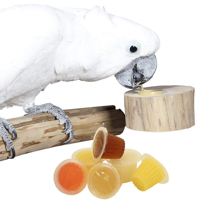 Support de Fruit Cups en Bois - Destockage Produit abîmé