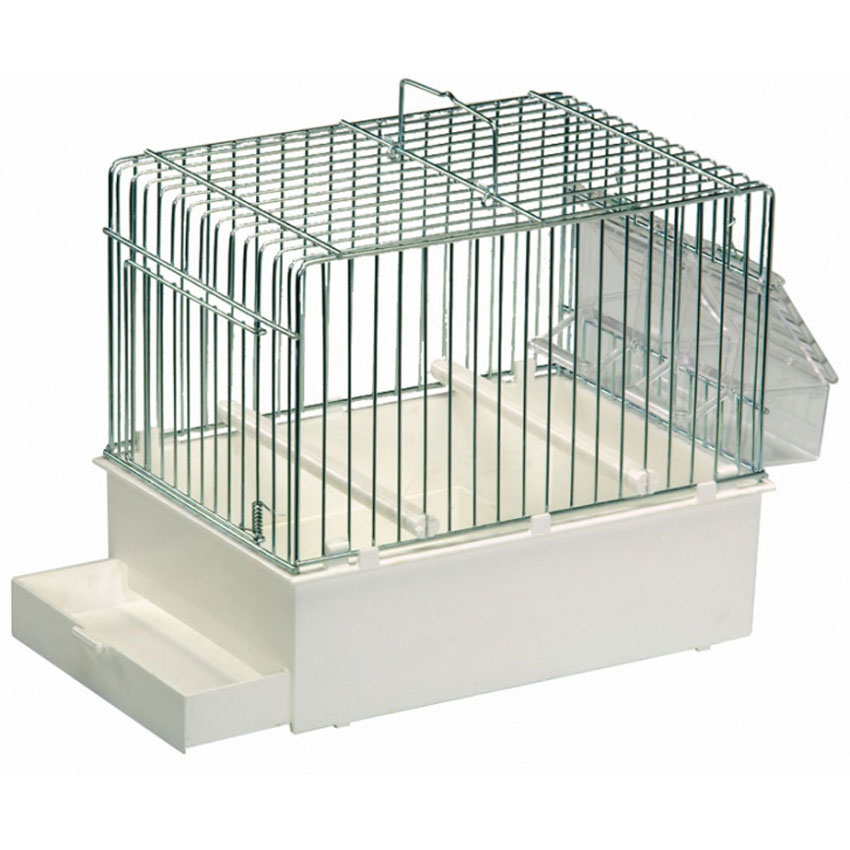Exemple de cage hôpital pour perruche