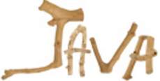 Java