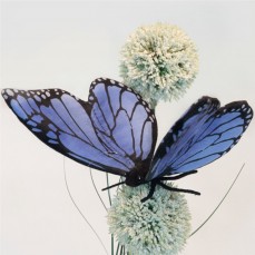 Hansa - Peluche de Collection Papillon Bleu - 13 cm