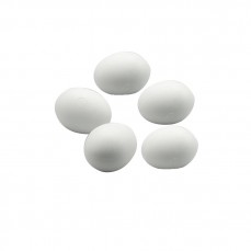 Oeuf Factice en Plastique Blanc pour Grandes Perruches - Dim : L2.8 x Ø 2.2 cm