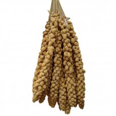 Millet Jaune en Grappes Français (Anjou) - 250 gr