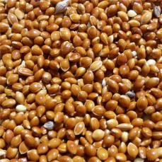 Versele Laga - Graines de Millet Rouge - 25 kg