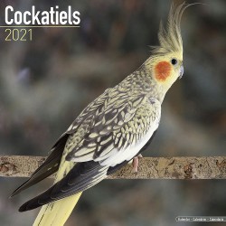 Calendrier 2021 - Les Perruches Calopsittes