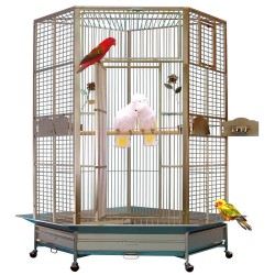 Cage d'Angle pour Perroquet KING'S CAGES - Modèle 509 Inox