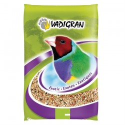 Vadigran - Mélange de Graines pour oiseaux Exotiques Original 273 - 20 kg 